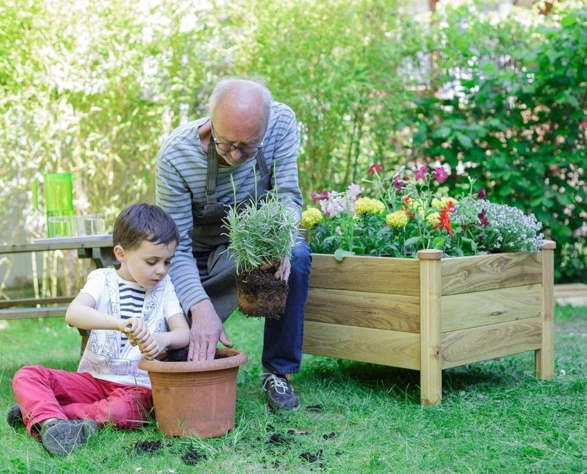 Jardinage facile avec Octogo